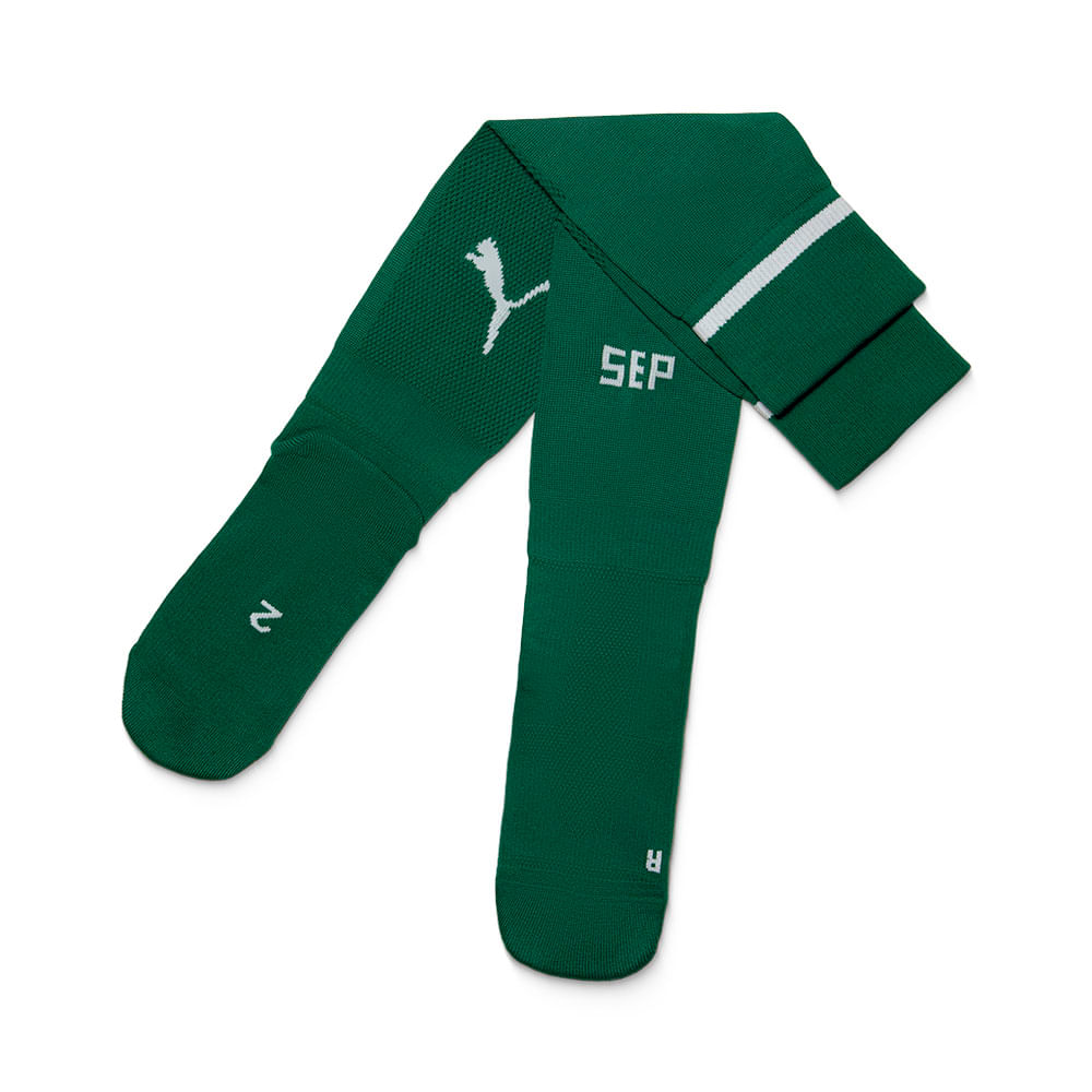 Meião Palmeiras Puma I 25/26 Infantil