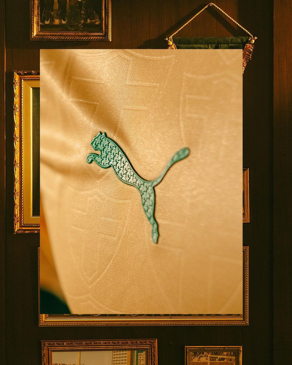 Camisa Palmeiras Puma III 24/25 Jogador