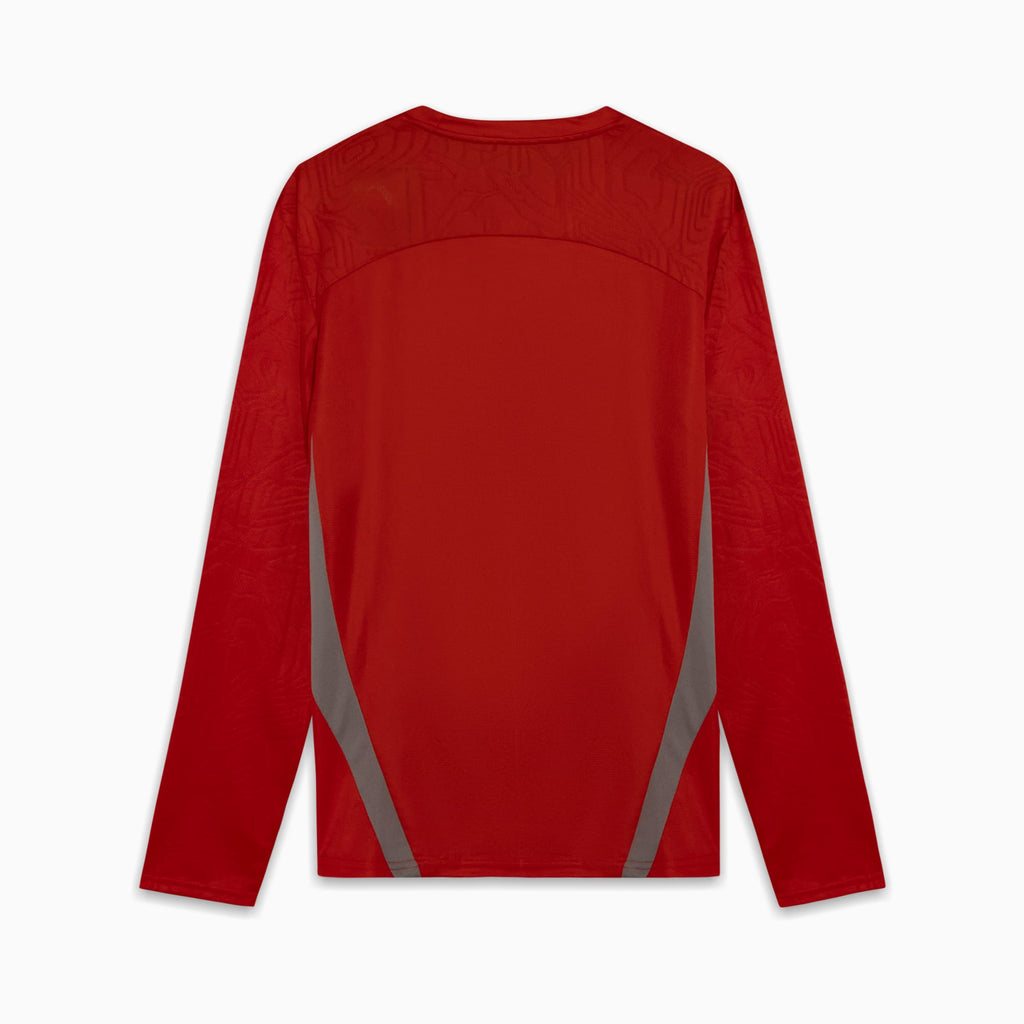 Camisa Goleiro Palmeiras Treino 2025