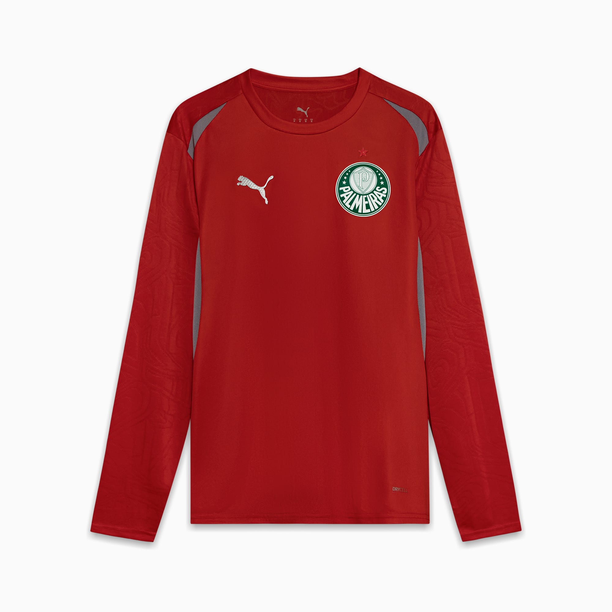 Camisa Goleiro Palmeiras Treino 2025