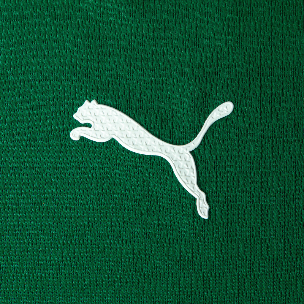 Camisa Palmeiras HOME 2026 Jogador Masculina