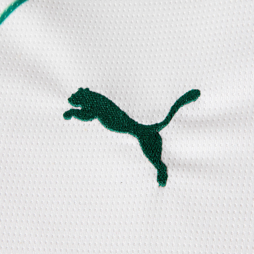 Camisa Palmeiras AWAY 2026 Torcedor Juvenil