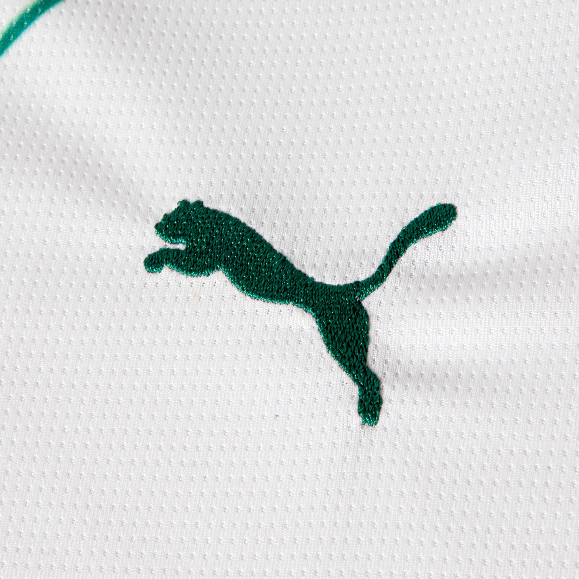 Camisa Palmeiras AWAY 2026 Torcedor Juvenil