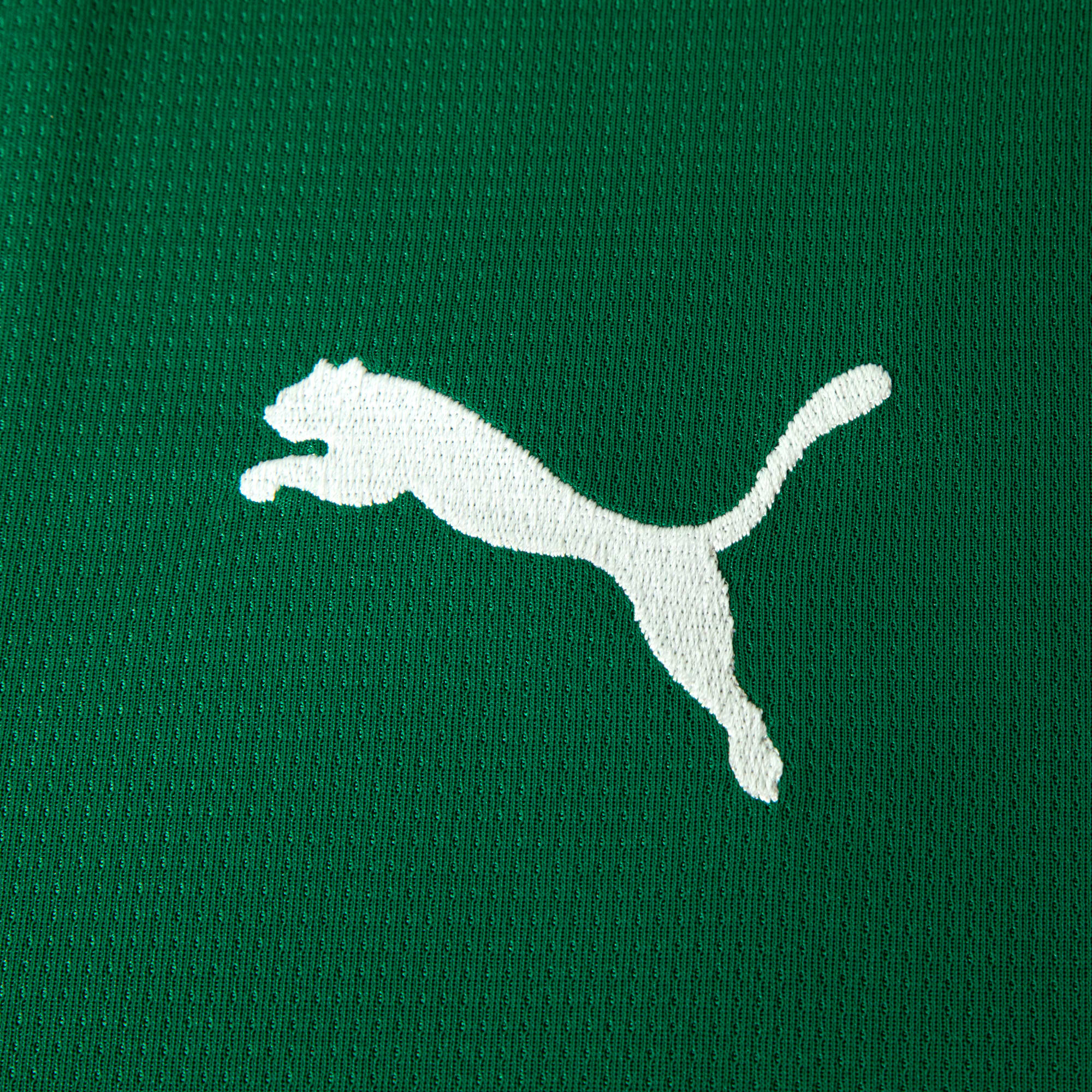 Camisa Palmeiras HOME 2026 Torcedor Masculina