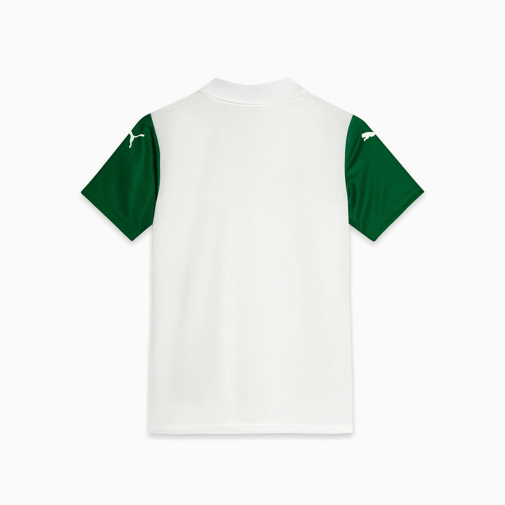 Camisa Palmeiras Torcedor AWAY 2025 Juvenil
