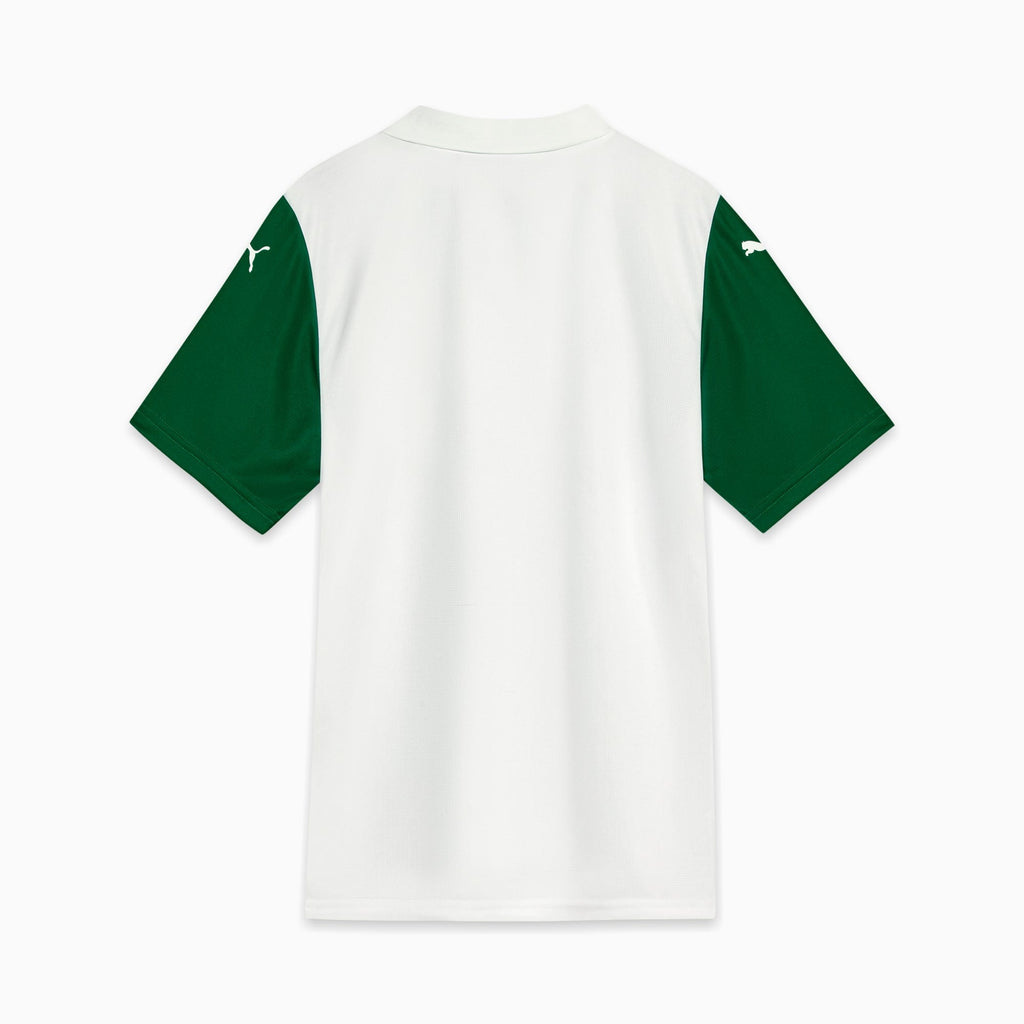 Camisa Palmeiras Torcedor AWAY 2025