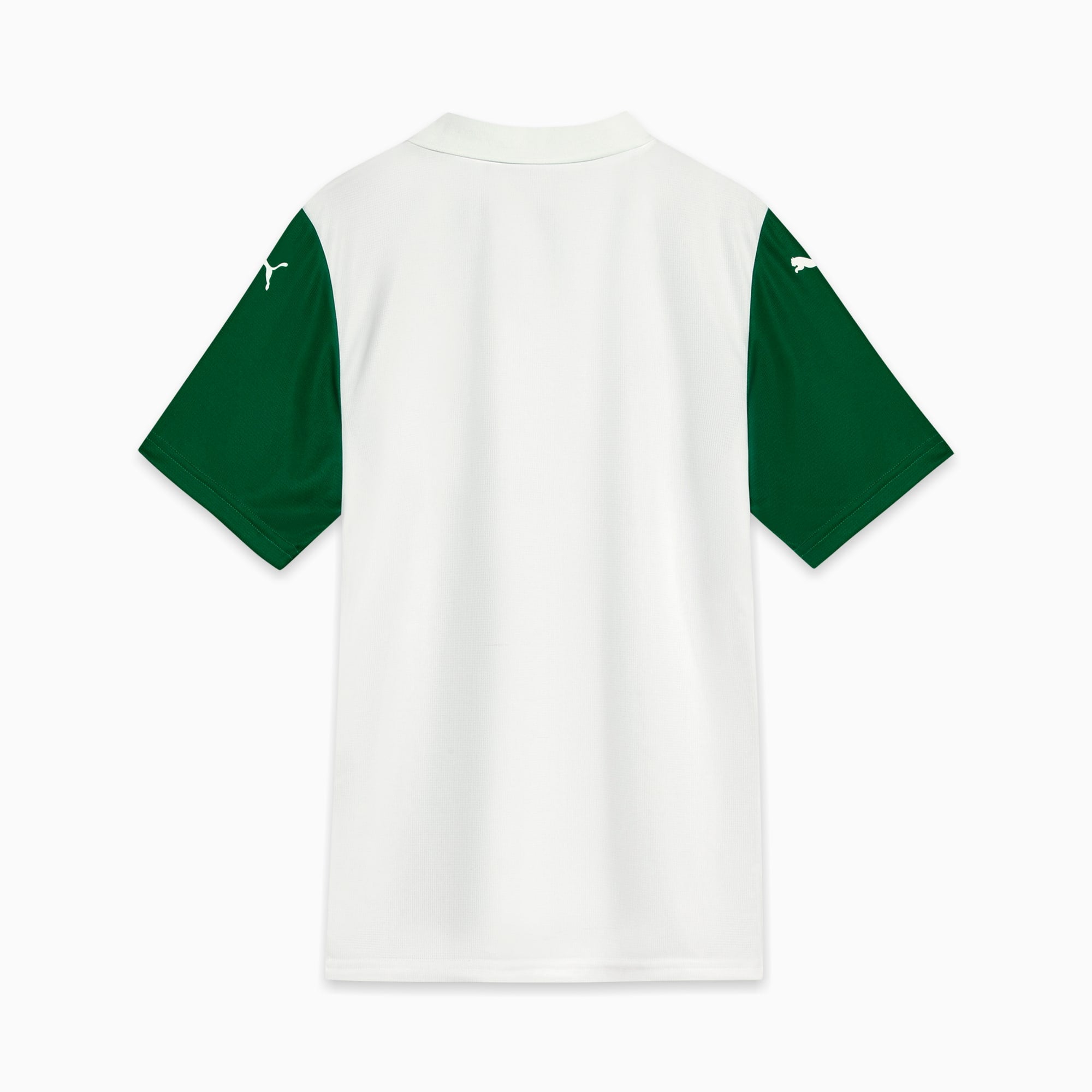 Camisa Palmeiras Torcedor AWAY 2025
