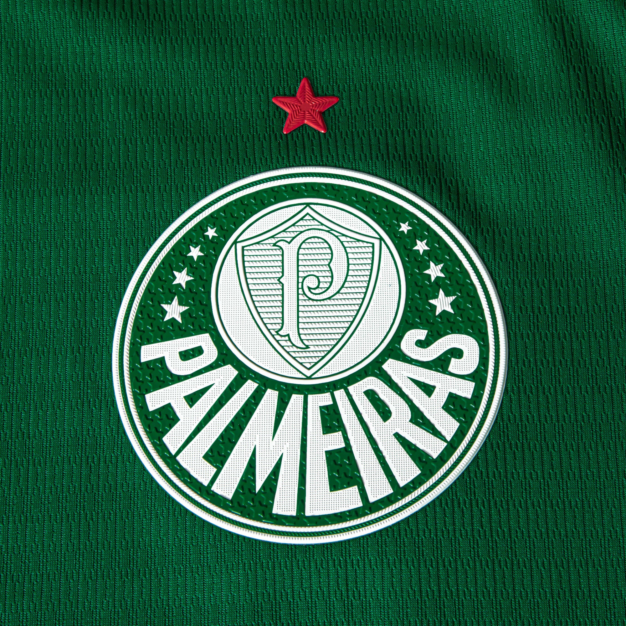 Camisa Palmeiras HOME 2026 Jogador Masculina