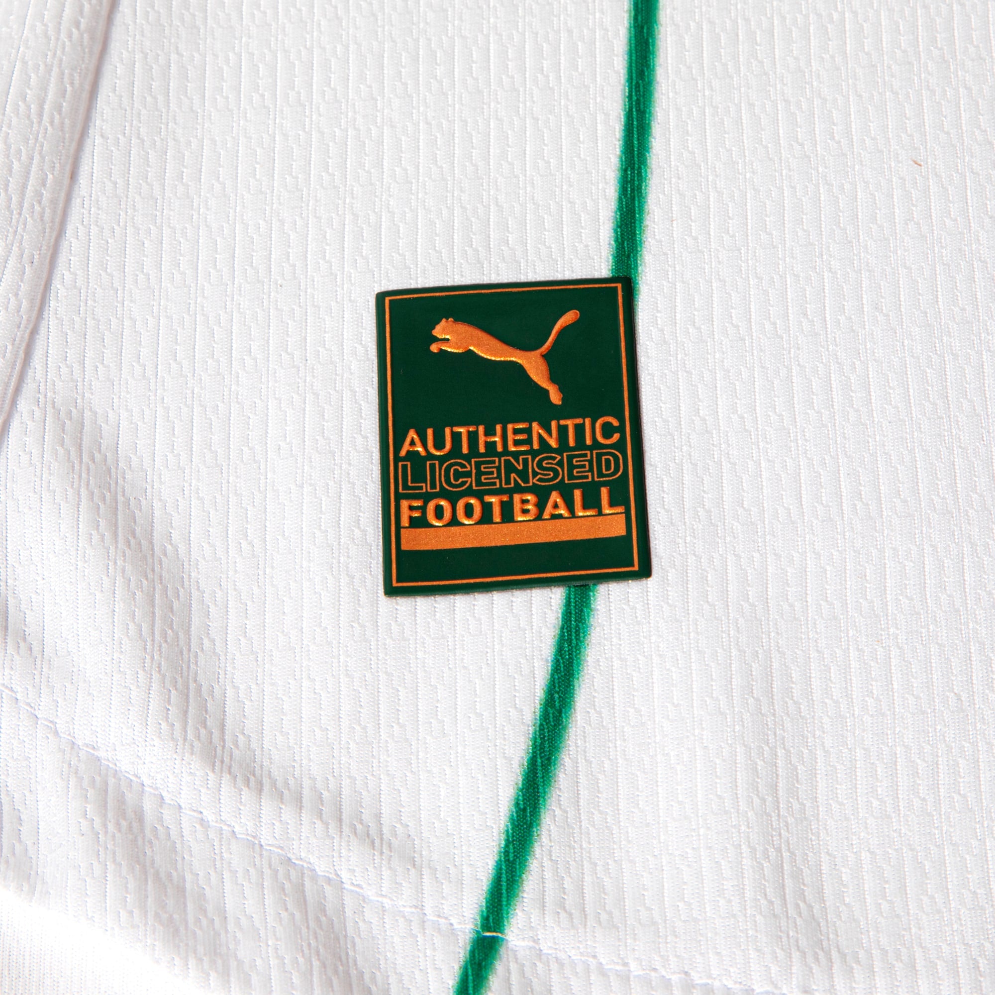 Camisa Palmeiras AWAY 2026 Jogador Masculina