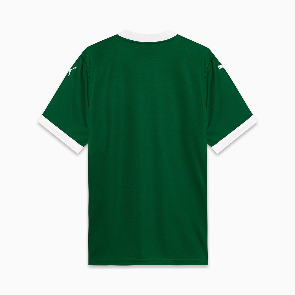 Camisa Palmeiras HOME Torcedor 2025