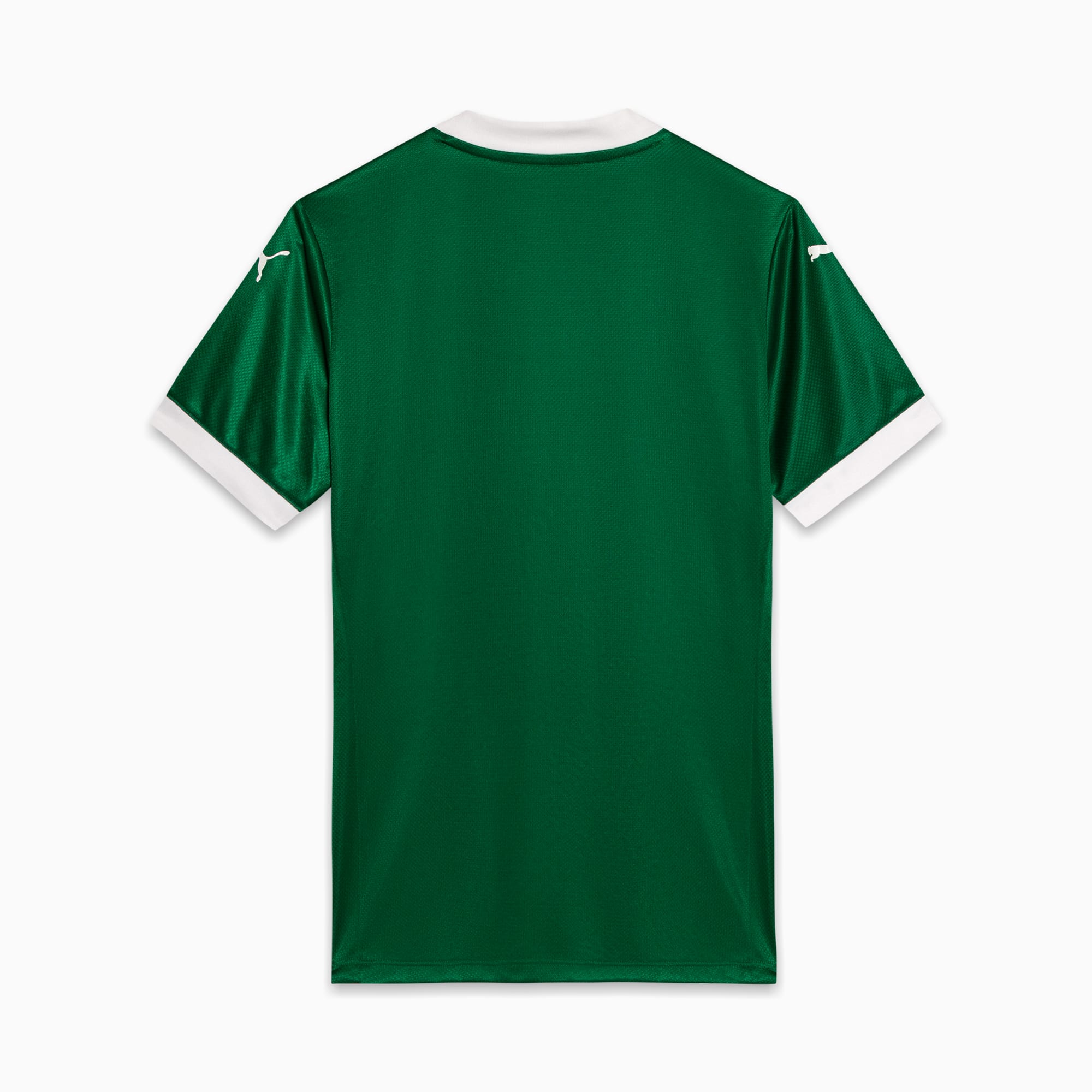 Camisa Palmeiras Jogador HOME 2025