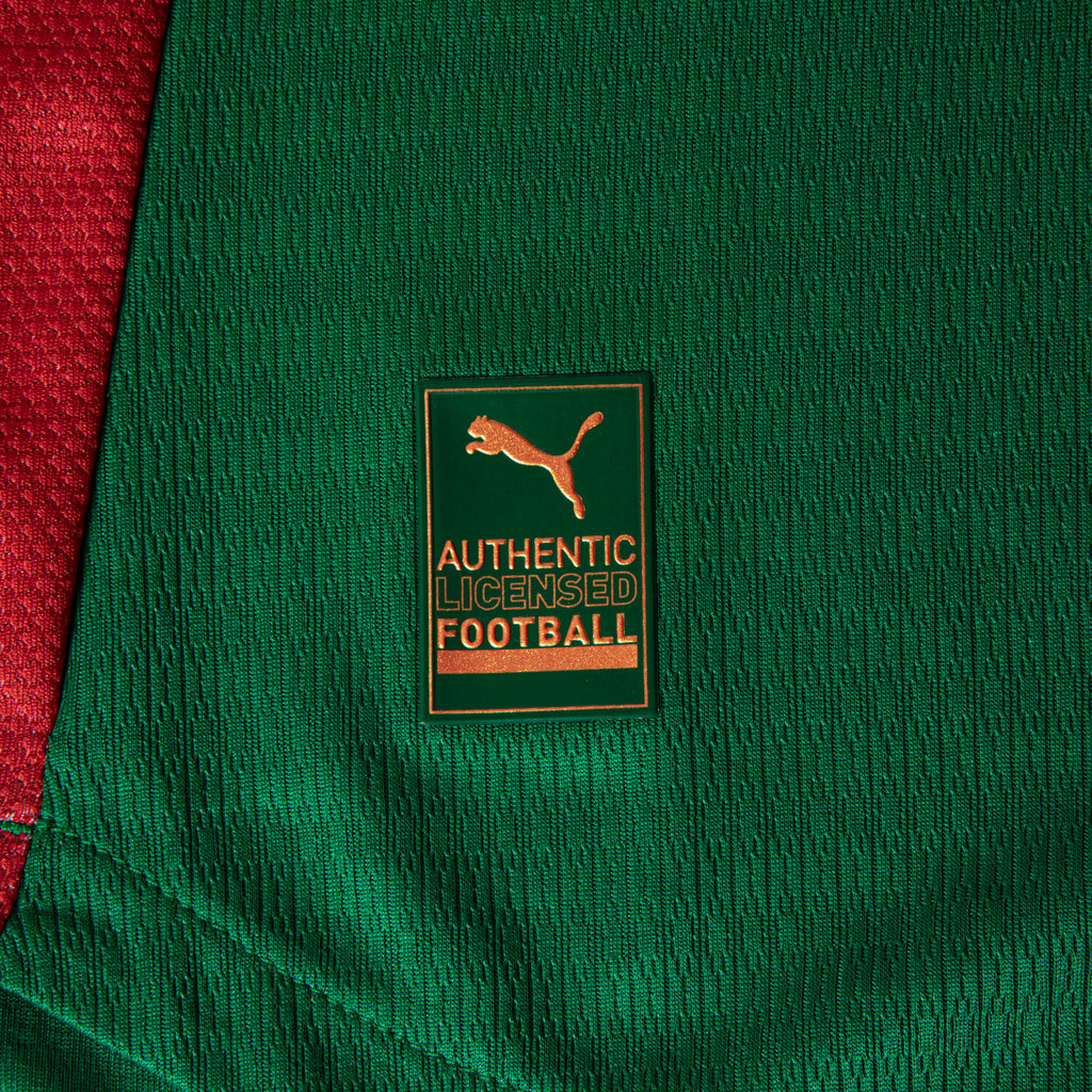 Camisa Palmeiras HOME 2026 Jogador Masculina