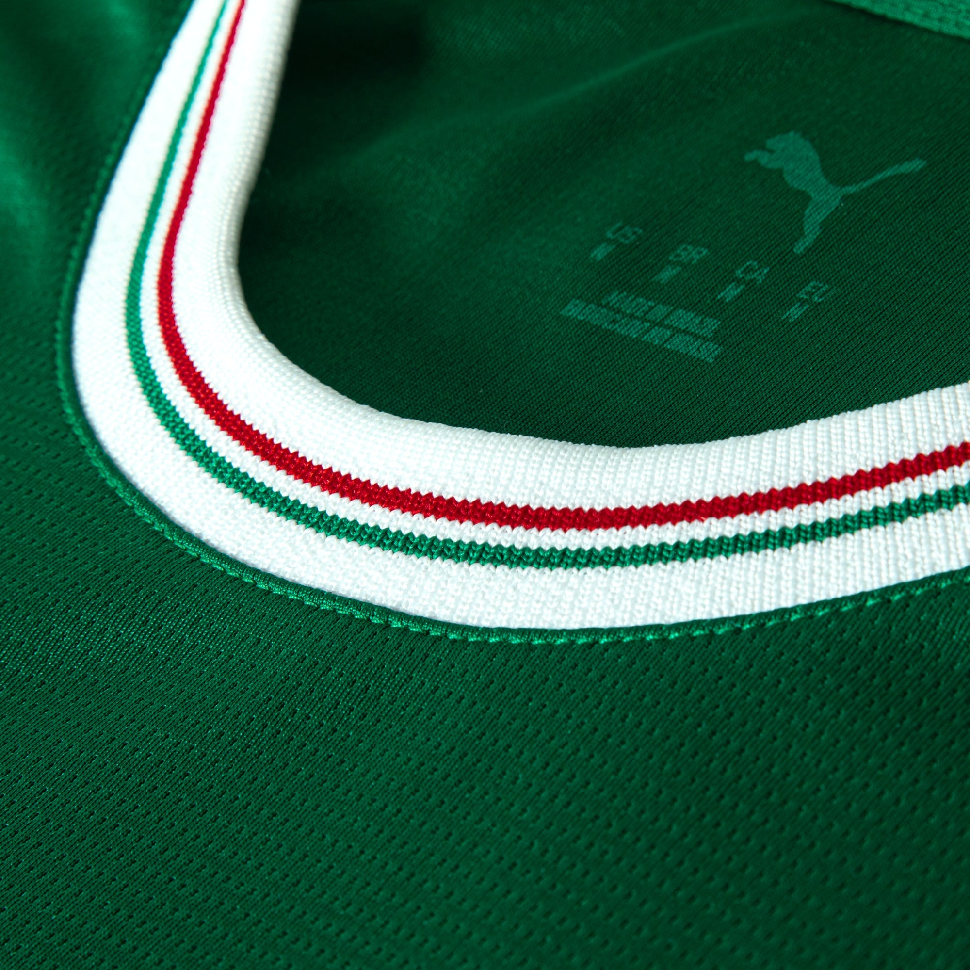 Camisa Palmeiras HOME 2026 Torcedor Masculina