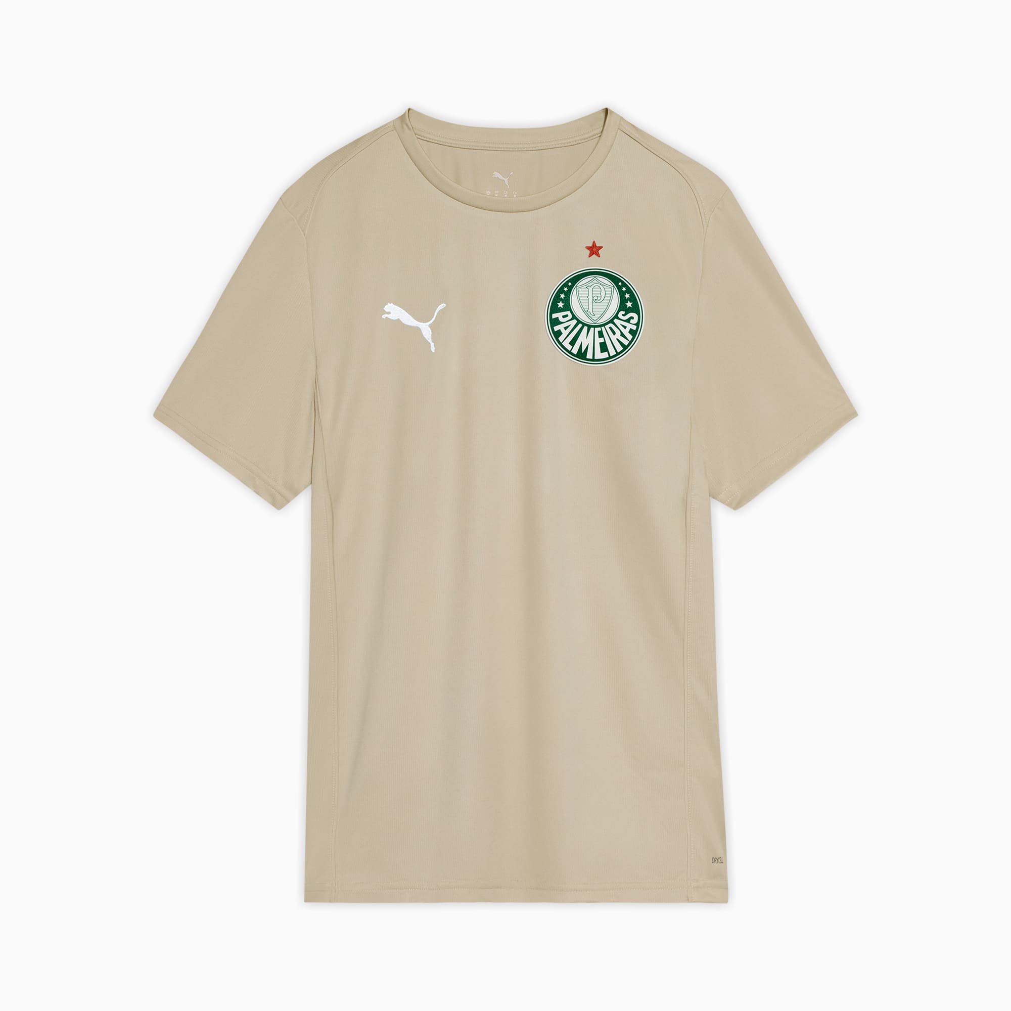 Camiseta Palmeiras Casuals 2025