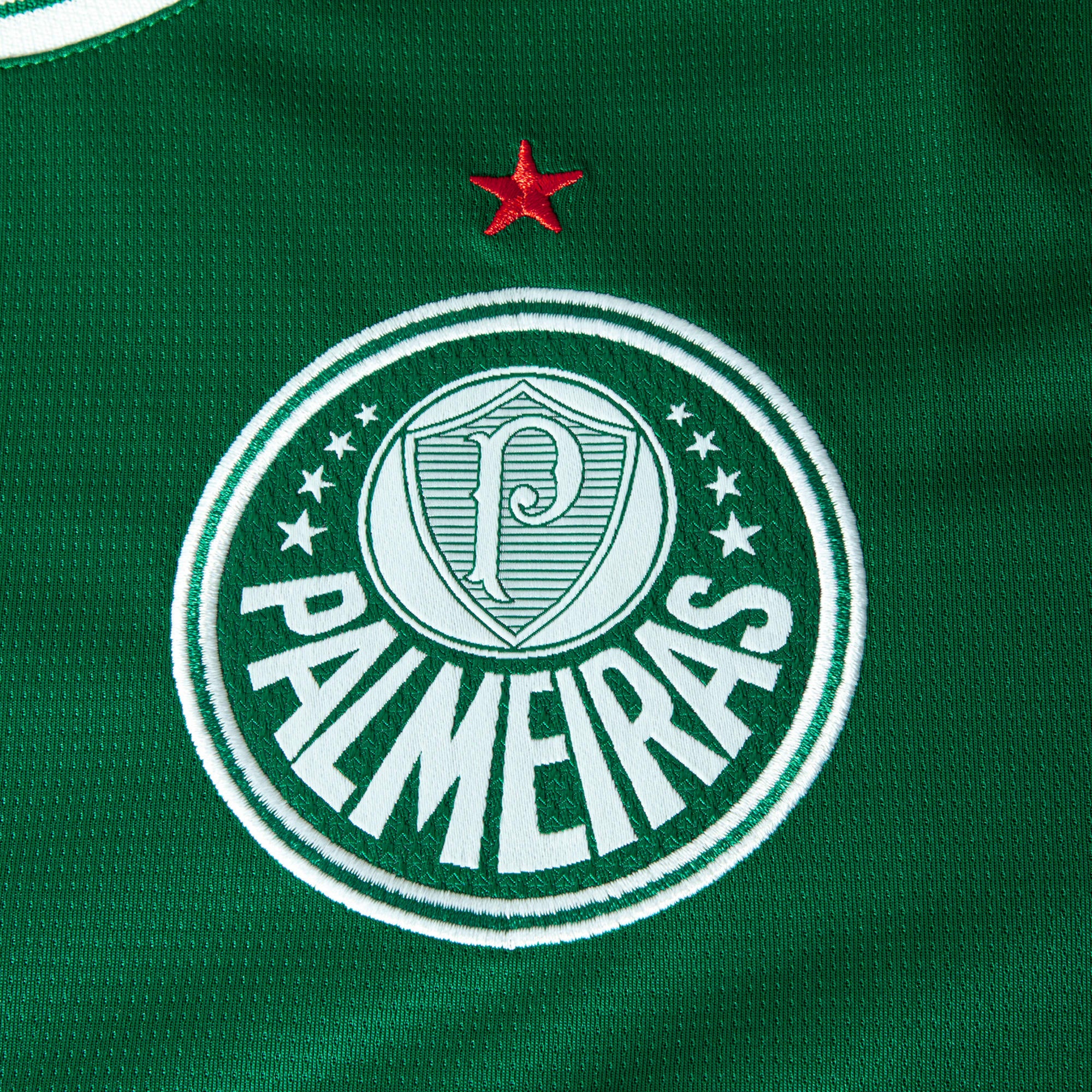Camisa Palmeiras HOME 2026 Torcedor Masculina