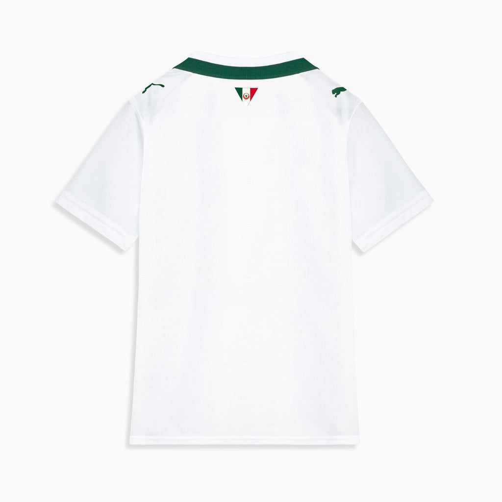 Camisa Palmeiras AWAY 2026 Torcedor Juvenil