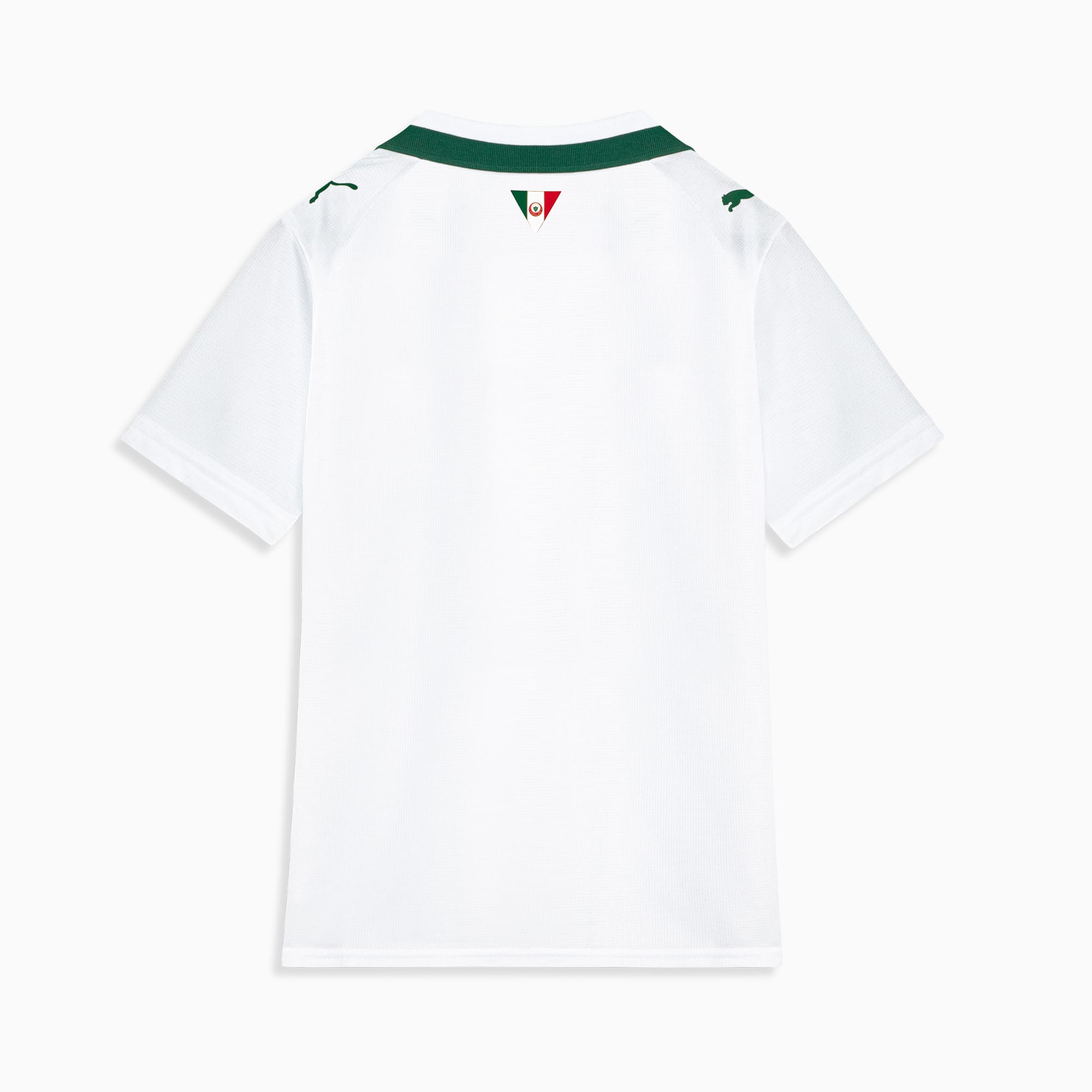 Camisa Palmeiras AWAY 2026 Torcedor Juvenil