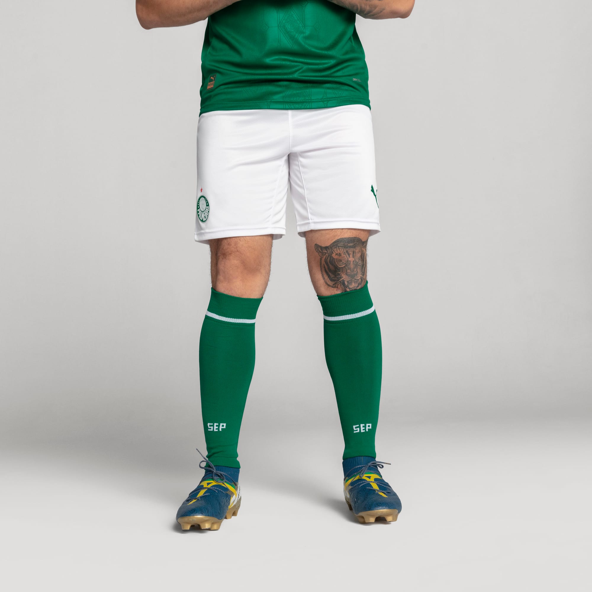 Meião Palmeiras HOME 2025