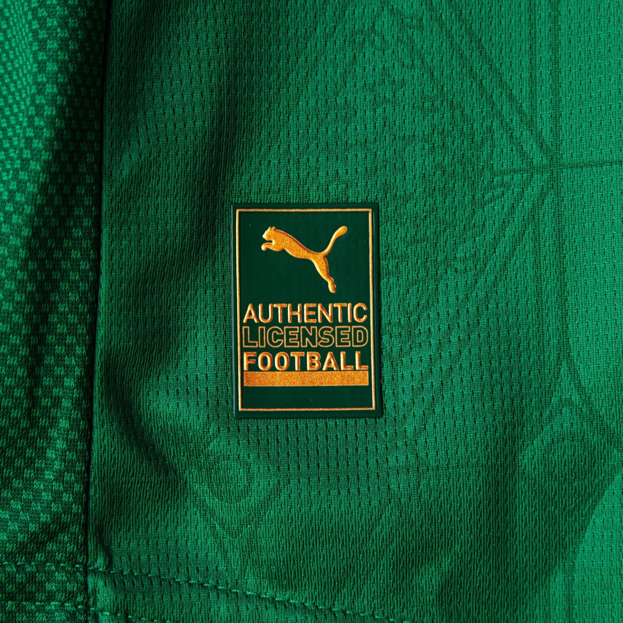 Camisa Palmeiras Jogador HOME 2025